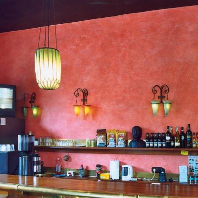 Malerbetrieb Michael Sigmund Ketsch Kreative Wandgestaltung 09