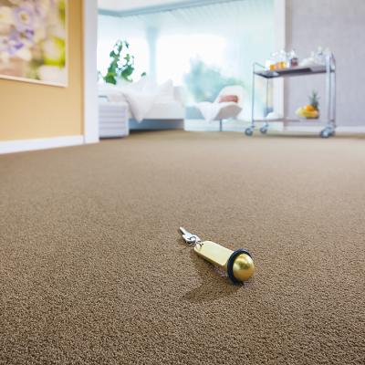 Malerbetrieb Michael Sigmund Ketsch Teppichboeden 03