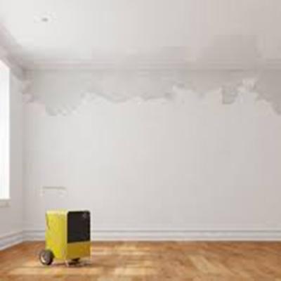 Malerbetrieb Michael Sigmund Ketsch Wasserschaedensanierung 01