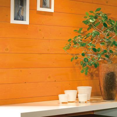 Malerbetrieb Michael Sigmund Ketsch Lasurarbeiten 04